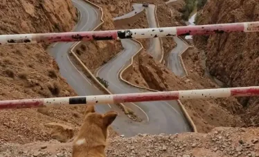 Desert Tours Morocco