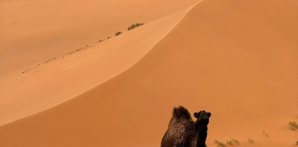 7 Days Desert Tour from Marrakech
