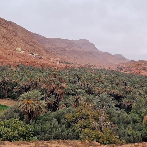 6 Days Morocco Tour from Marrakech with Essaouira Excursion