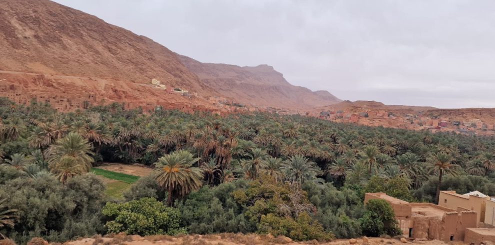 6 Days Morocco Tour from Marrakech with Essaouira Excursion