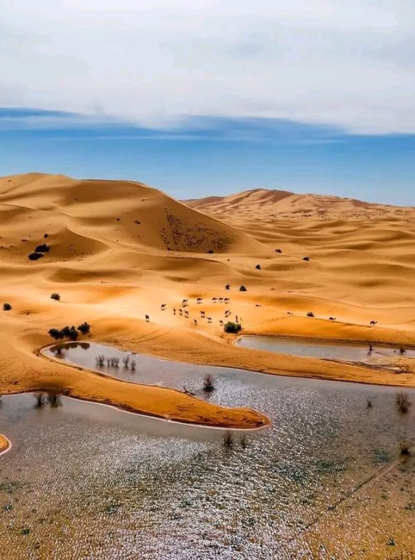 6 Days Morocco Tour from Marrakech