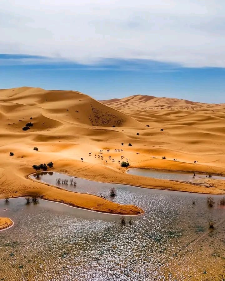 6 Days Morocco Tour from Marrakech