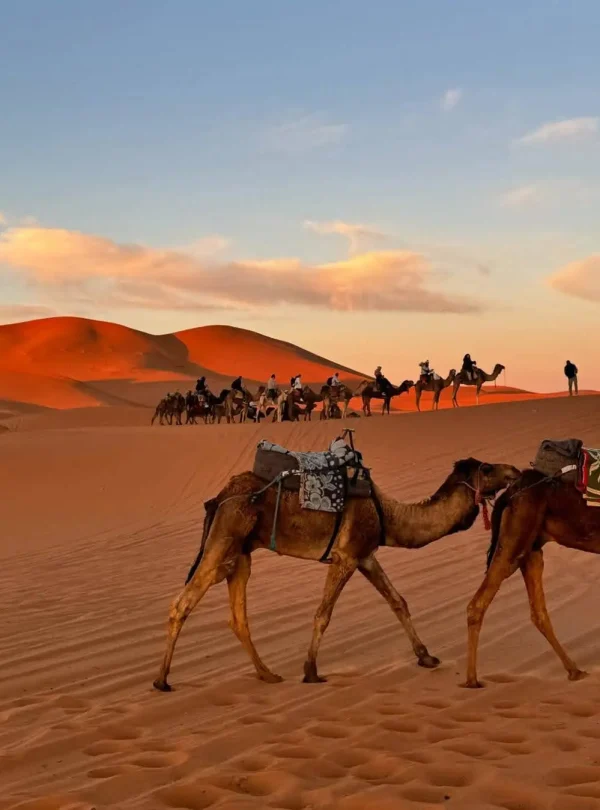 10 Days Morocco Tour From Marrakech