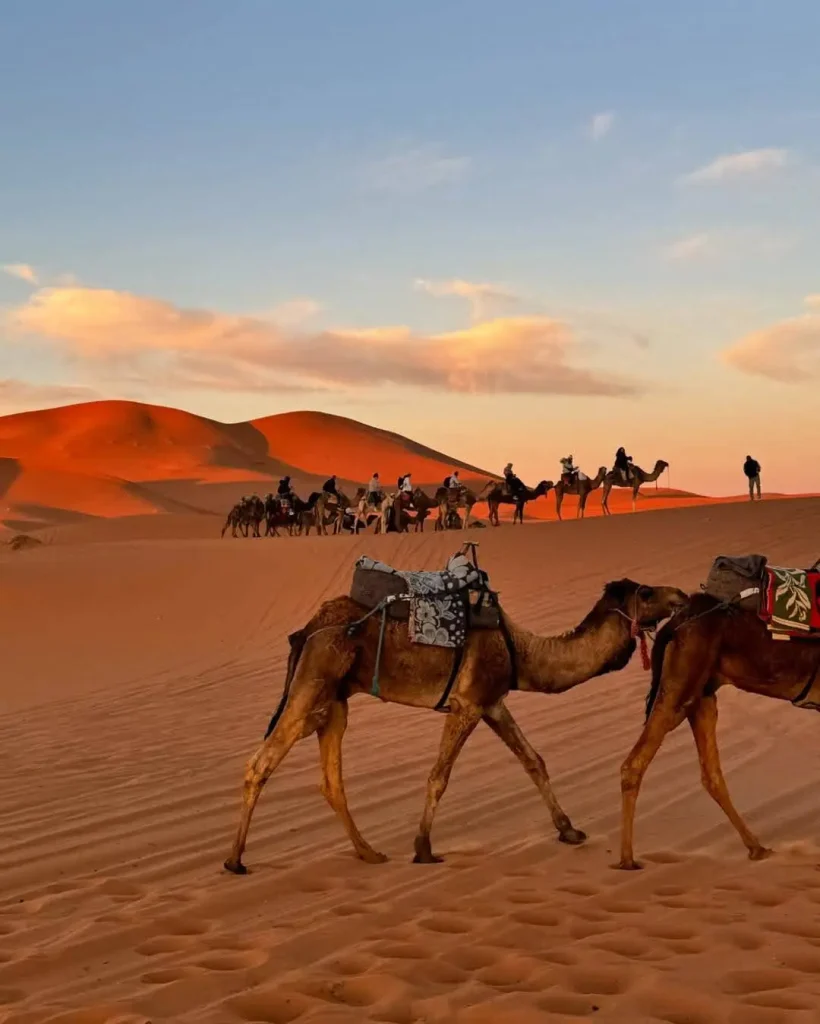 10 Days Morocco Tour From Marrakech