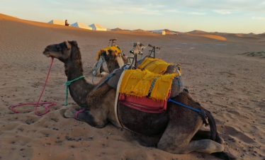 Desert Tours Morocco