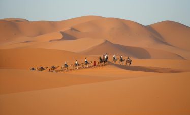 A camel caravan traverses the rolling dunes of Merzouga, Morocco at sunset.