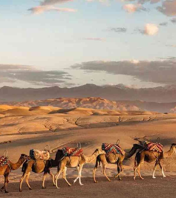 Agafay Desert