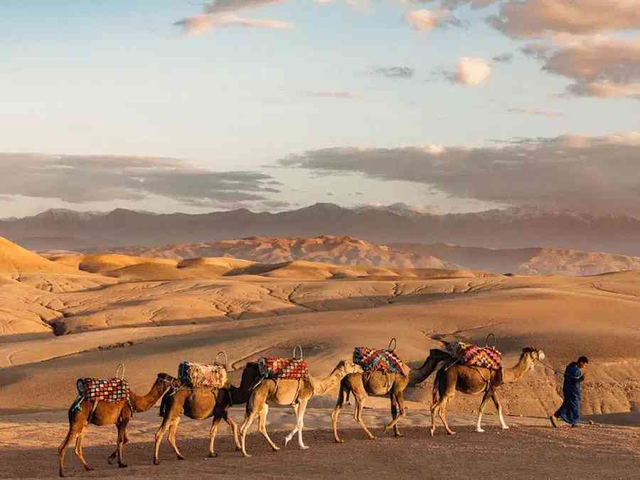 Agafay Desert