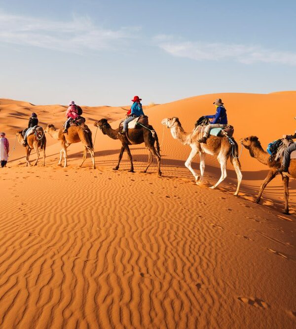 Desert Tours Morocco