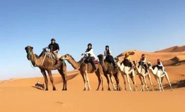 Student Tour