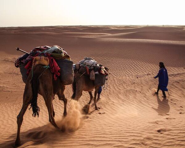 Trek Morocco