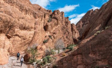 Desert Trek