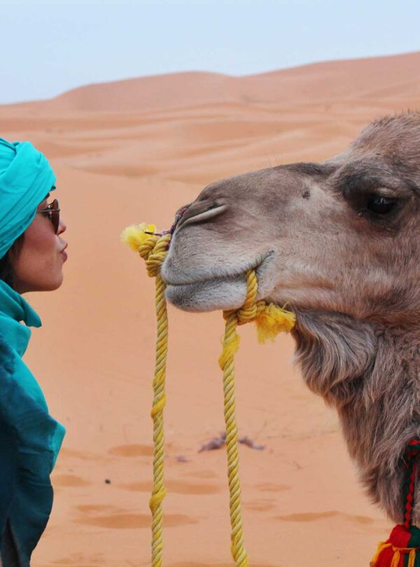 Desert Trek