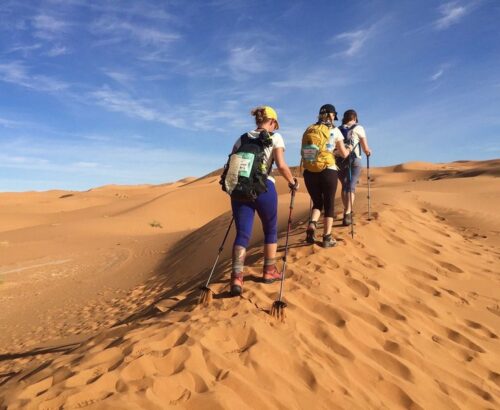 desert trek