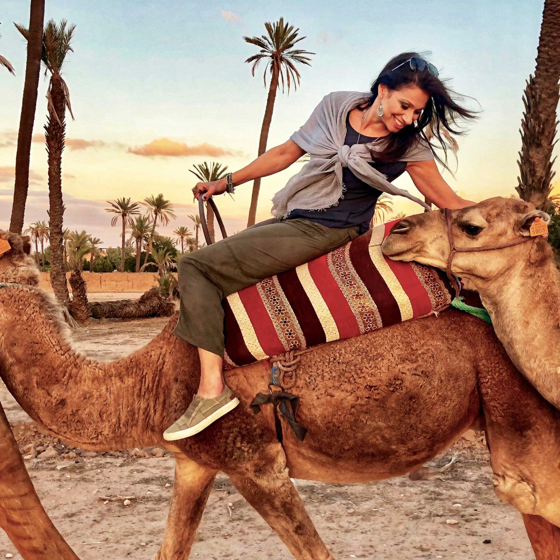 Camel Ride