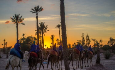 Camel Ride