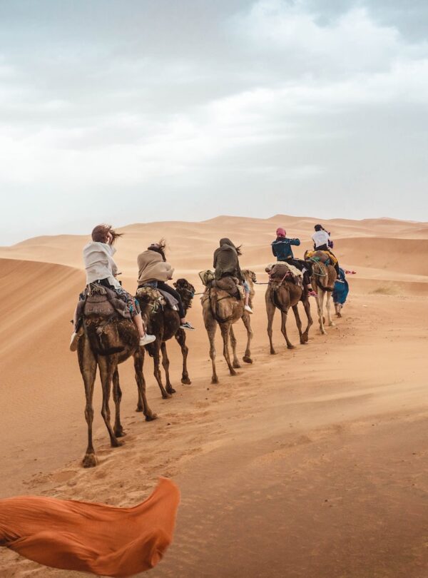 Trek Morocco