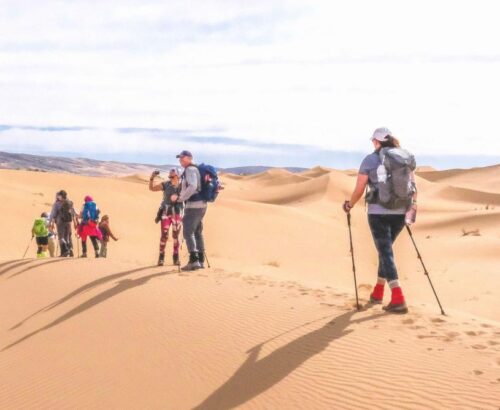 desert trek