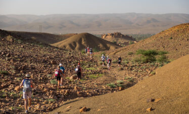 Desert Trek
