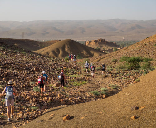Desert Trek