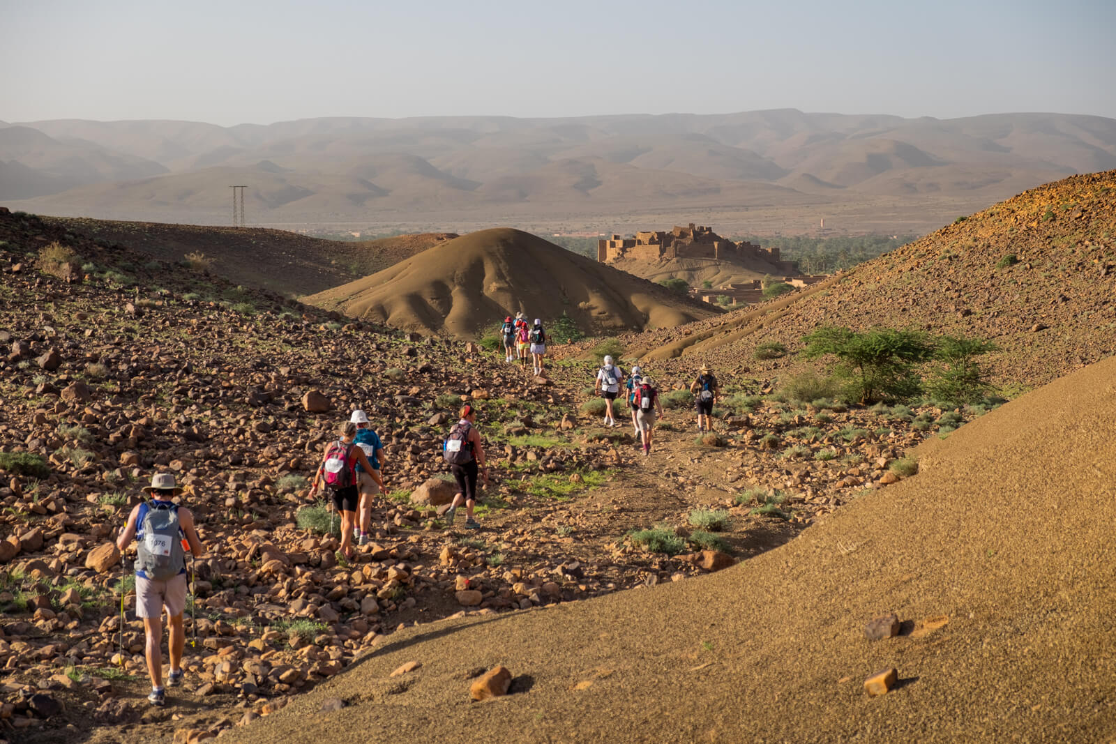 Desert Trek