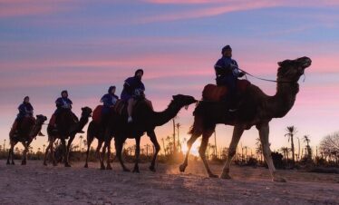 Camel Ride