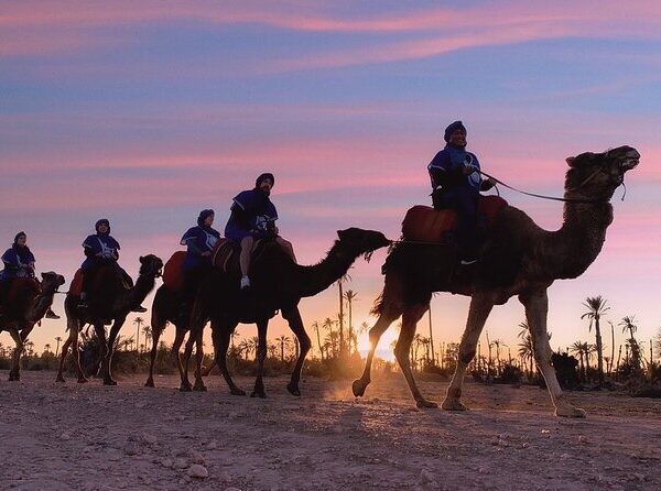 Camel Ride