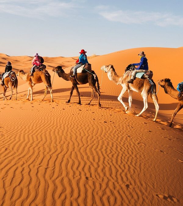Trek Morocco