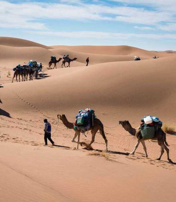 Trek Morocco