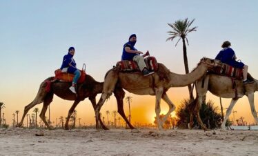 Camel Ride
