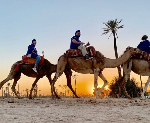 Camel Ride
