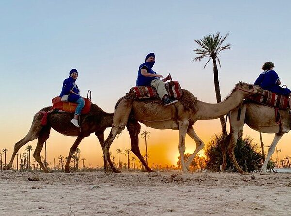 Camel Ride