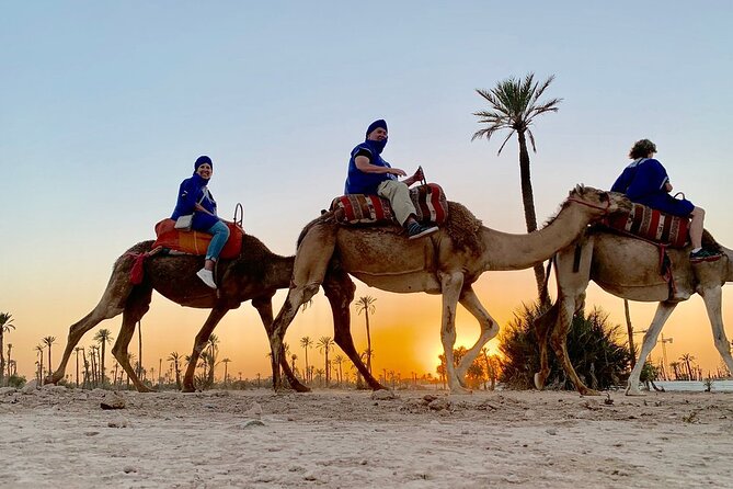 Camel Ride