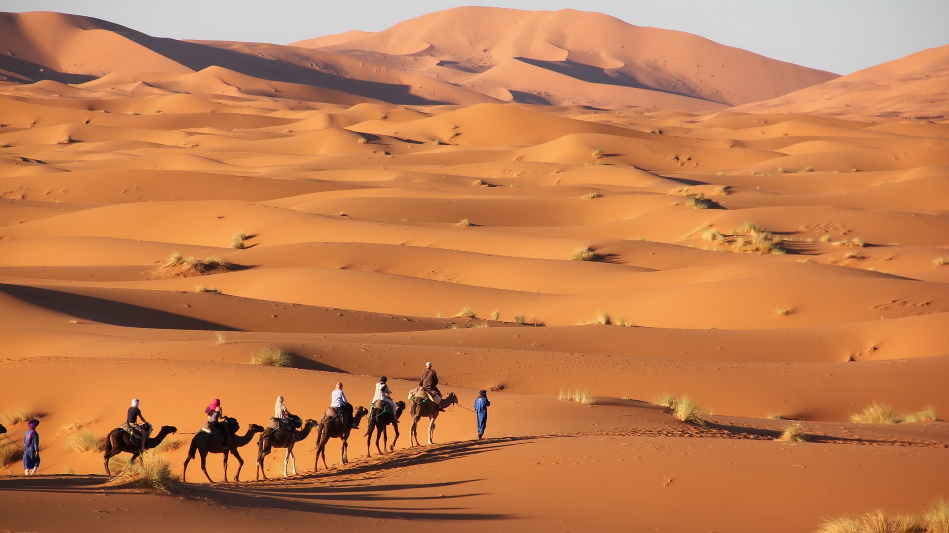 Trek Morocco