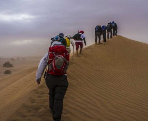 desert trek