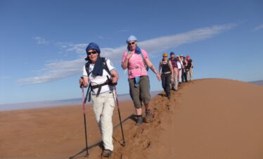 Desert Trek