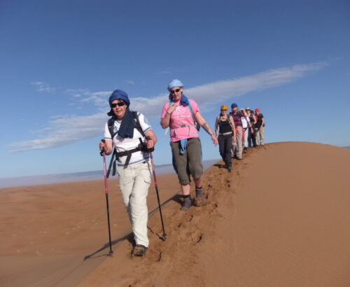 Desert Trek