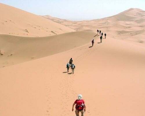 desert trek